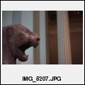 image IMG_5207.JPG