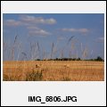 image IMG_5806.JPG