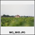 image IMG_5903.JPG