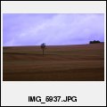 image IMG_5937.JPG
