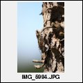image IMG_5994.JPG