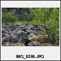 image IMG_6359.JPG