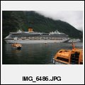 image IMG_6486.JPG