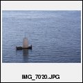 image IMG_7020.JPG