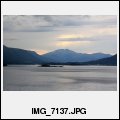 image IMG_7137.JPG