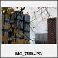 image IMG_7559.JPG