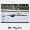image IMG_7992.JPG