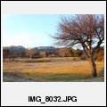 image IMG_8032.JPG