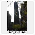 image IMG_1440.JPG