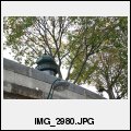 image suivante
