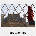image IMG_4456.JPG