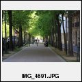 image IMG_4591.JPG