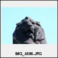 image IMG_4596.JPG